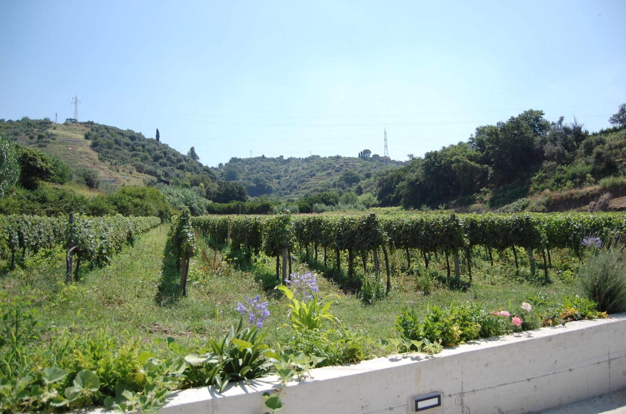 Agriturismo Parra Santa Lucia del Mela Eksteriør billede